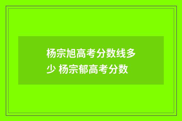 杨宗旭高考分数线多少 杨宗郁高考分数