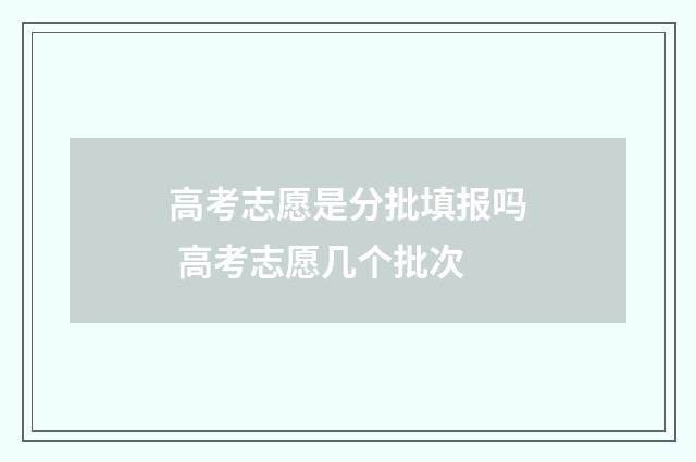 高考志愿是分批填报吗 高考志愿几个批次