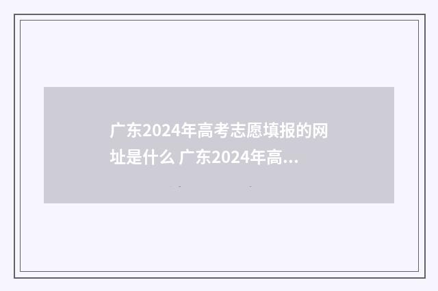 广东2024年高考志愿填报的网址是什么 广东2024年高考人数