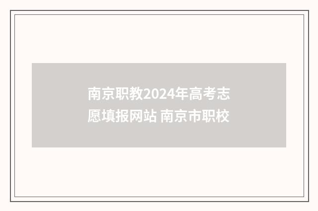 南京职教2024年高考志愿填报网站 南京市职校