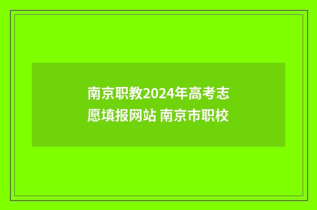 南京职教2024年高考志愿填报网站 南京市职校