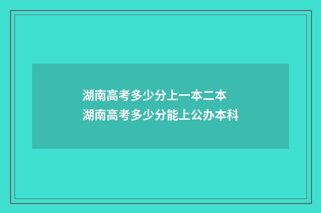 湖南高考多少分上一本二本 湖南高考多少分能上公办本科