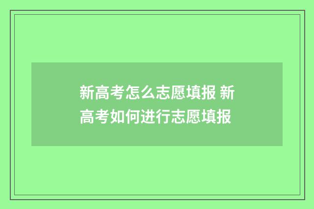 新高考怎么志愿填报 新高考如何进行志愿填报