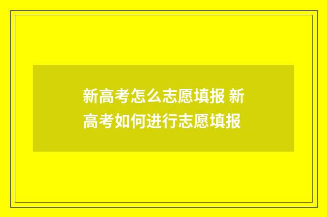 新高考怎么志愿填报 新高考如何进行志愿填报
