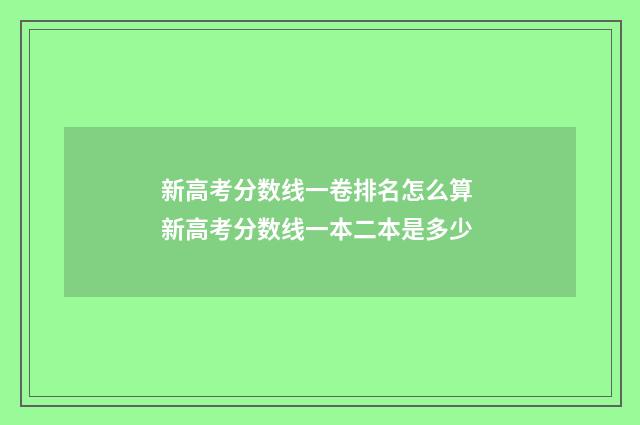新高考分数线一卷排名怎么算 新高考分数线一本二本是多少