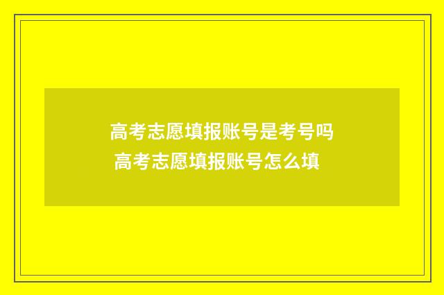 高考志愿填报账号是考号吗 高考志愿填报账号怎么填