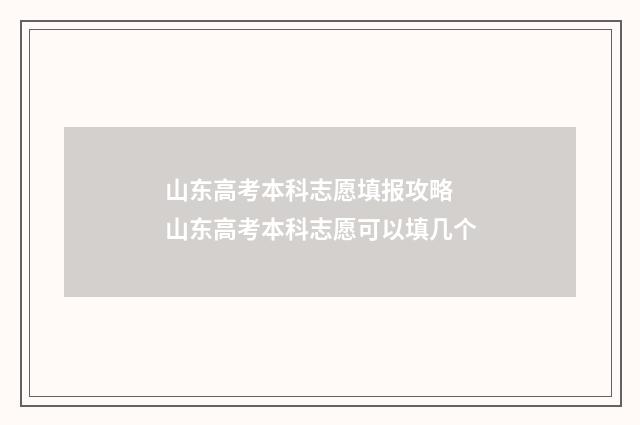 山东高考本科志愿填报攻略 山东高考本科志愿可以填几个