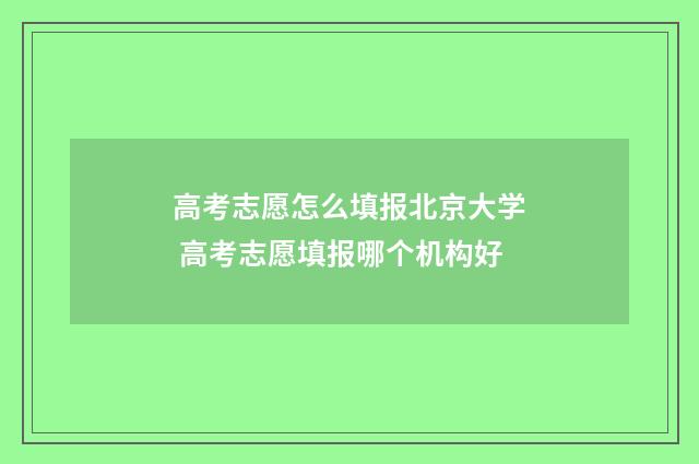 高考志愿怎么填报北京大学 高考志愿填报哪个机构好