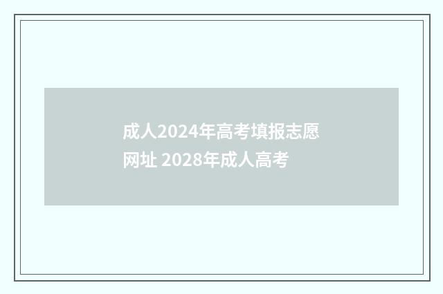 成人2024年高考填报志愿网址 2028年成人高考