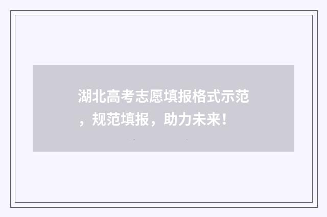 湖北高考志愿填报格式示范，规范填报，助力未来！