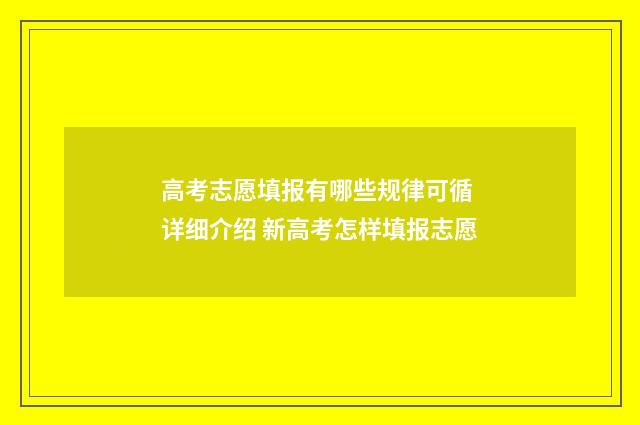 高考志愿填报有哪些规律可循 详细介绍 新高考怎样填报志愿