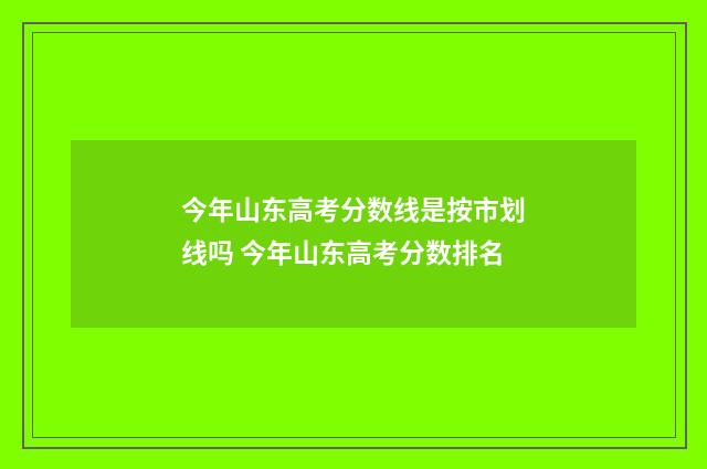 今年山东高考分数线是按市划线吗 今年山东高考分数排名