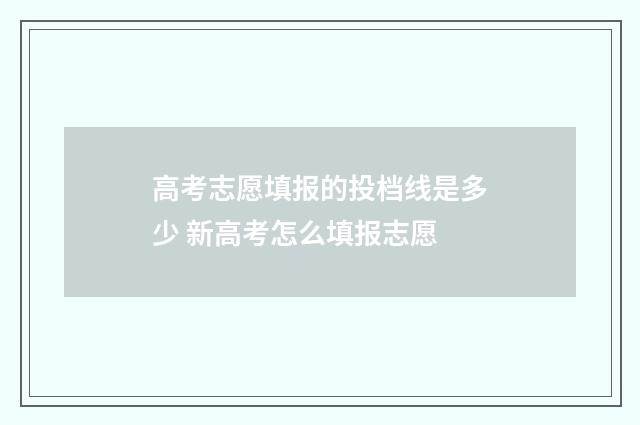 高考志愿填报的投档线是多少 新高考怎么填报志愿