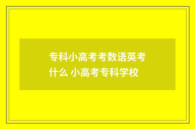 专科小高考考数语英考什么 小高考专科学校