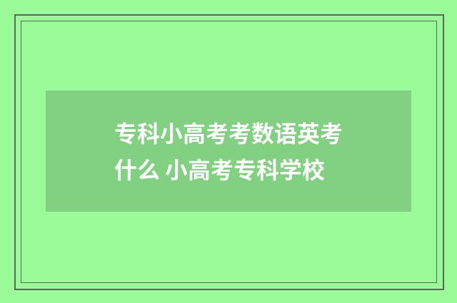 专科小高考考数语英考什么 小高考专科学校