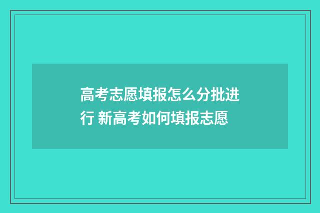高考志愿填报怎么分批进行 新高考如何填报志愿