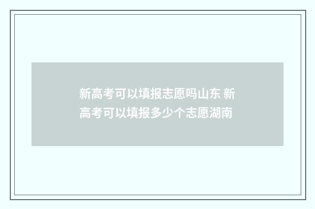 新高考可以填报志愿吗山东 新高考可以填报多少个志愿湖南