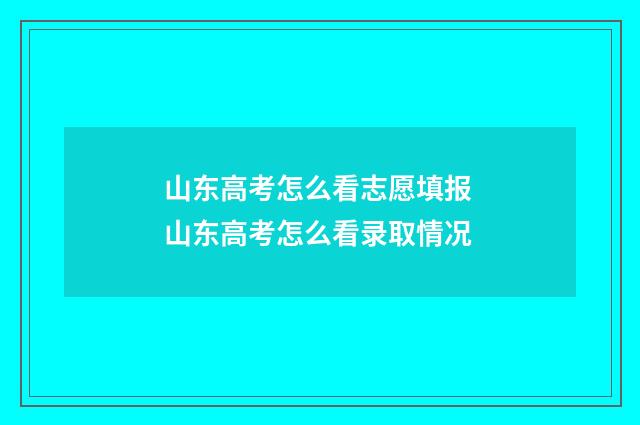 山东高考怎么看志愿填报 山东高考怎么看录取情况