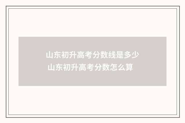 山东初升高考分数线是多少 山东初升高考分数怎么算