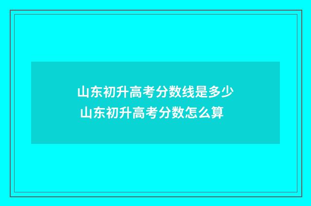 山东初升高考分数线是多少 山东初升高考分数怎么算