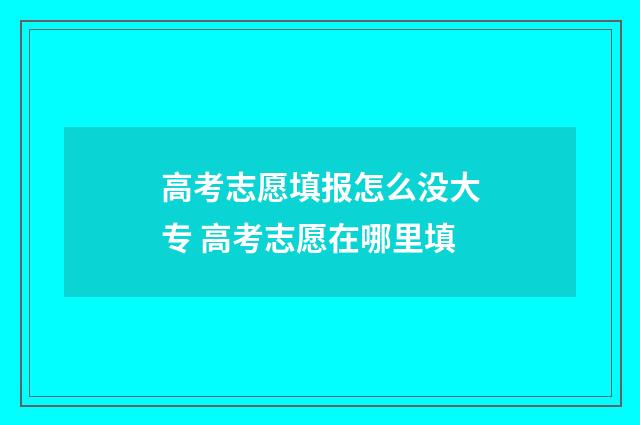 高考志愿填报怎么没大专 高考志愿在哪里填