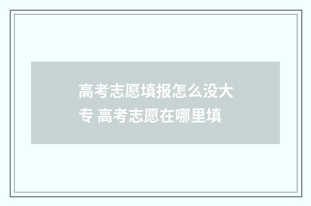 高考志愿填报怎么没大专 高考志愿在哪里填