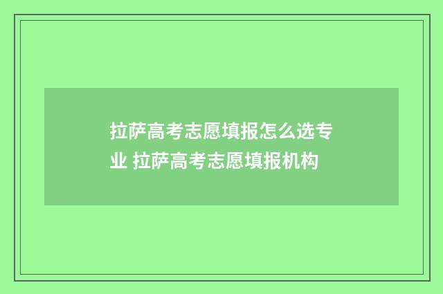 拉萨高考志愿填报怎么选专业 拉萨高考志愿填报机构
