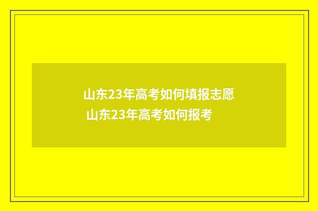 山东23年高考如何填报志愿 山东23年高考如何报考