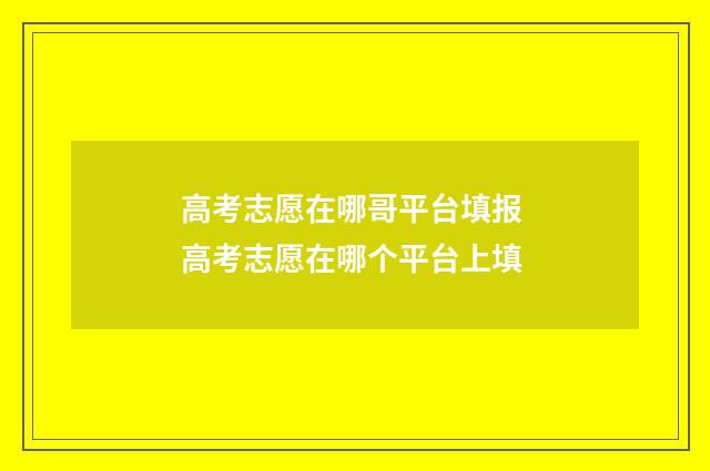 高考志愿在哪哥平台填报 高考志愿在哪个平台上填