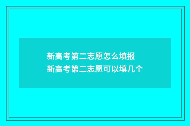 新高考第二志愿怎么填报 新高考第二志愿可以填几个