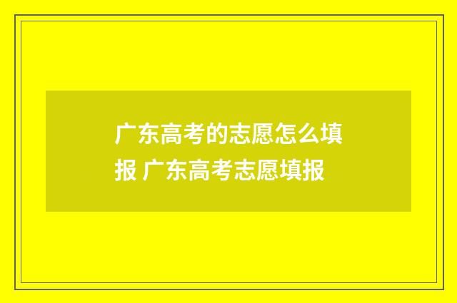 广东高考的志愿怎么填报 广东高考志愿填报