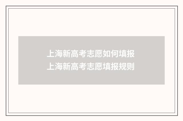 上海新高考志愿如何填报 上海新高考志愿填报规则