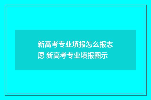 新高考专业填报怎么报志愿 新高考专业填报图示