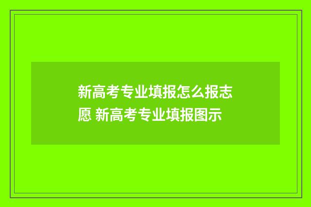 新高考专业填报怎么报志愿 新高考专业填报图示