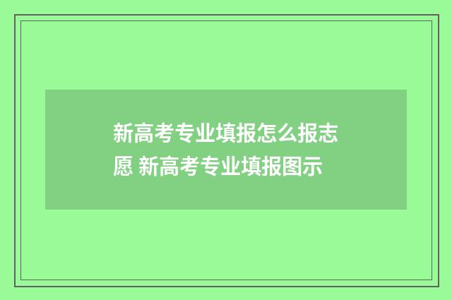 新高考专业填报怎么报志愿 新高考专业填报图示