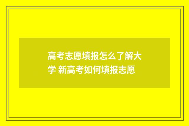 高考志愿填报怎么了解大学 新高考如何填报志愿