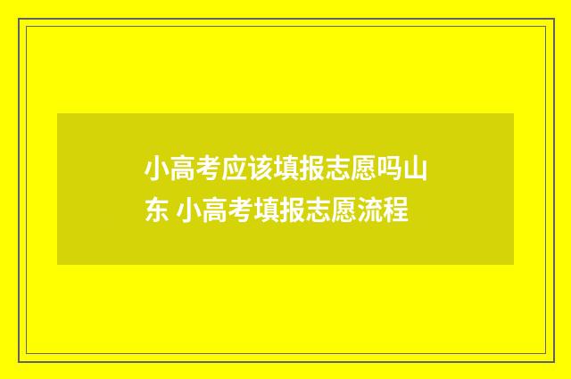 小高考应该填报志愿吗山东 小高考填报志愿流程