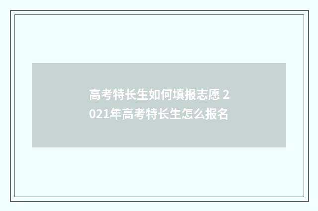 高考特长生如何填报志愿 2021年高考特长生怎么报名