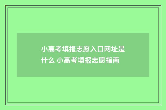 小高考填报志愿入口网址是什么 小高考填报志愿指南
