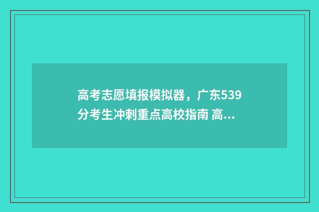 高考志愿填报模拟器，广东539分考生冲刺重点高校指南 高考志愿填报模板完整版
