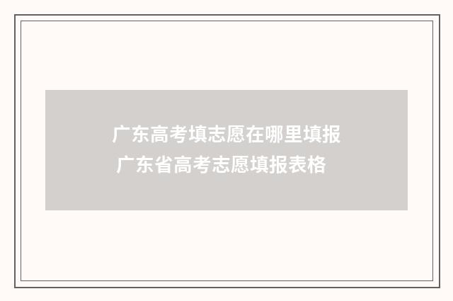 广东高考填志愿在哪里填报 广东省高考志愿填报表格