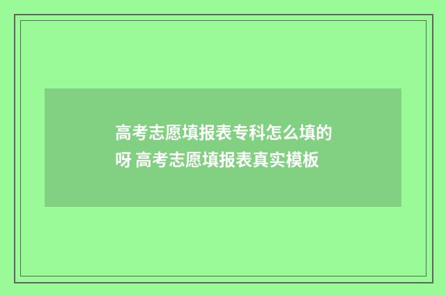 高考志愿填报表专科怎么填的呀 高考志愿填报表真实模板