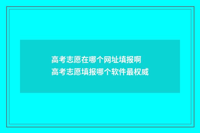 高考志愿在哪个网址填报啊 高考志愿填报哪个软件最权威