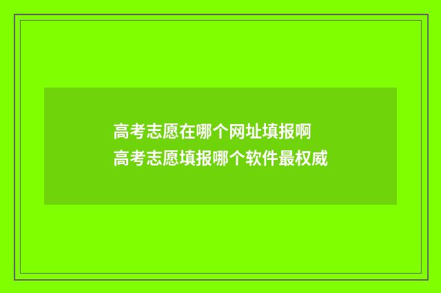 高考志愿在哪个网址填报啊 高考志愿填报哪个软件最权威