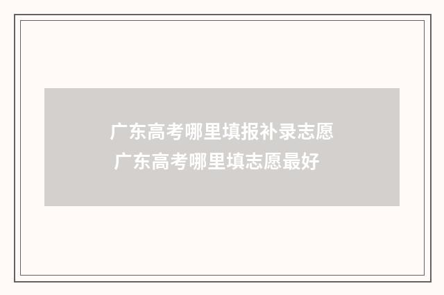 广东高考哪里填报补录志愿 广东高考哪里填志愿最好