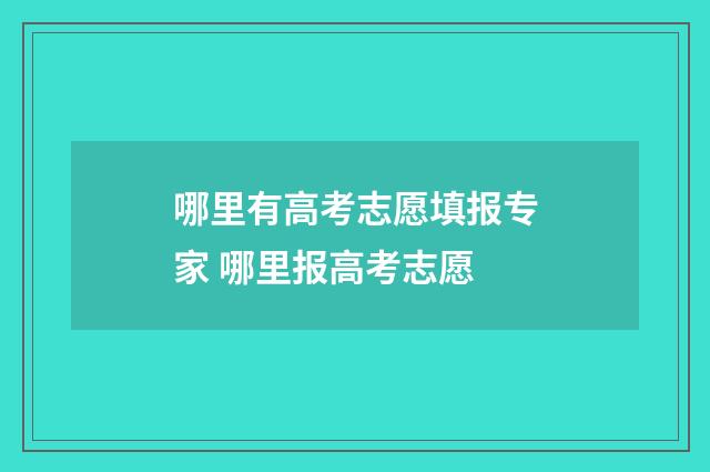 哪里有高考志愿填报专家 哪里报高考志愿