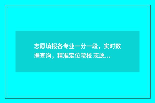 志愿填报各专业一分一段，实时数据查询，精准定位院校 志愿填报专业怎么填