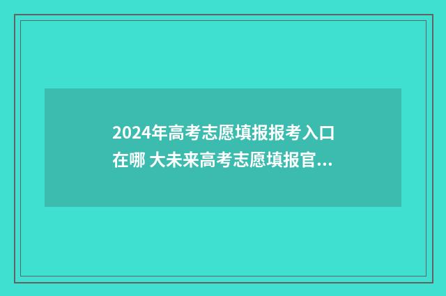 2024年高考志愿填报报考入口在哪 大未来高考志愿填报官网