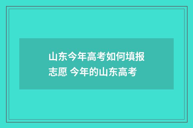 山东今年高考如何填报志愿 今年的山东高考