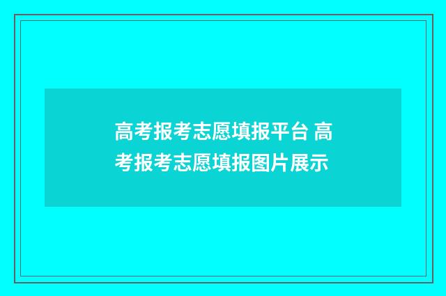 高考报考志愿填报平台 高考报考志愿填报图片展示